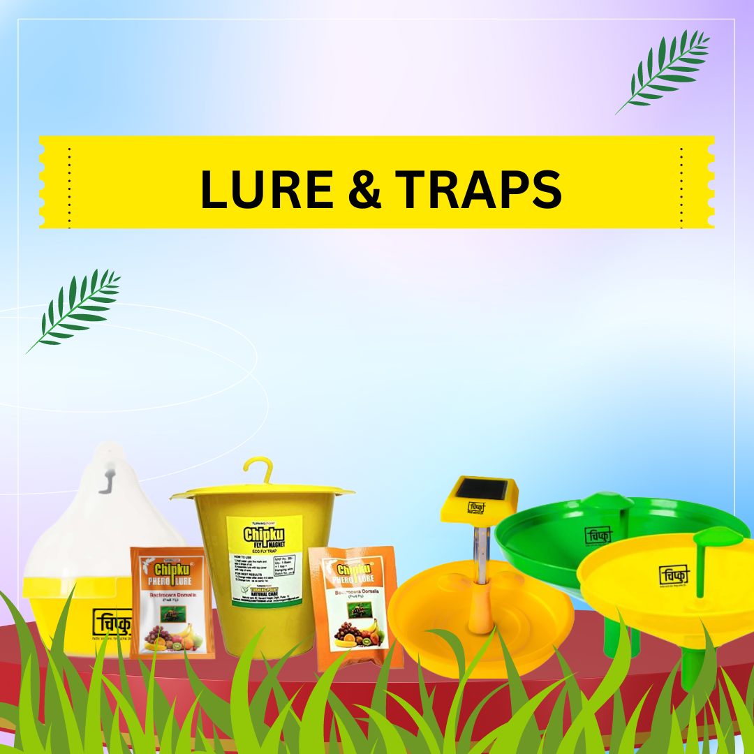 Lure & Traps