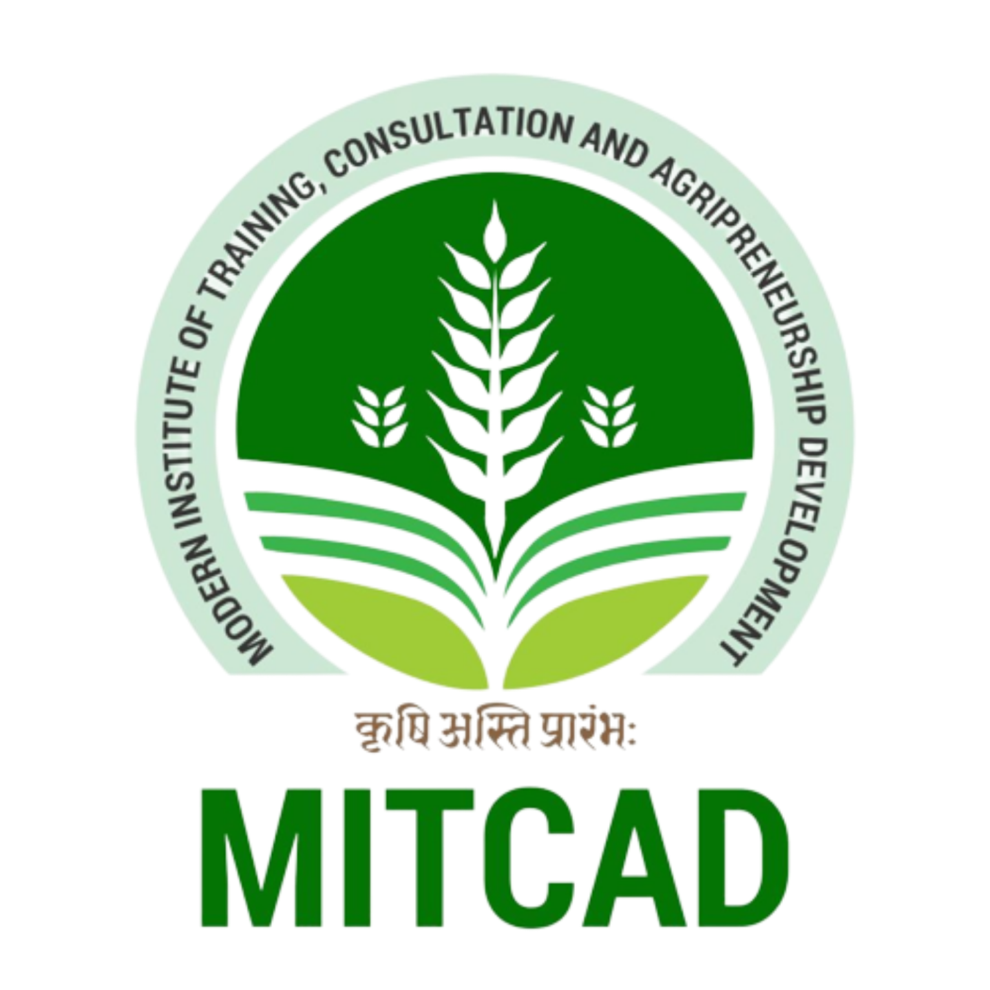 MITCAD
