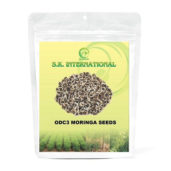  Moringa Seeds, Drumstick Seeds, Horseradish Tree Seeds, Saijan ki Phalli, Saragavo (100% Organic) with ODC3 Variety