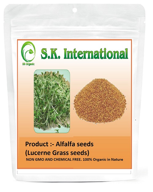  Alfalfa Seeds (Lucerne High Protein Grass Seeds) for Sprouting and Cultivation
