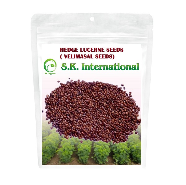 SK International Hedge Lucerne Seeds (Velimasal, Dasrath Grass Seeds) For Cattle Fodder