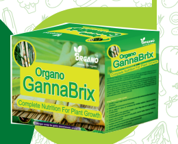 Ganna Brix - High yield of mixed biofertilizers 