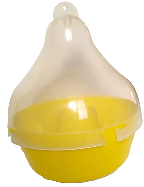  Mac Phill pheromone insect Trap used for fruit fly & melon fly Broom