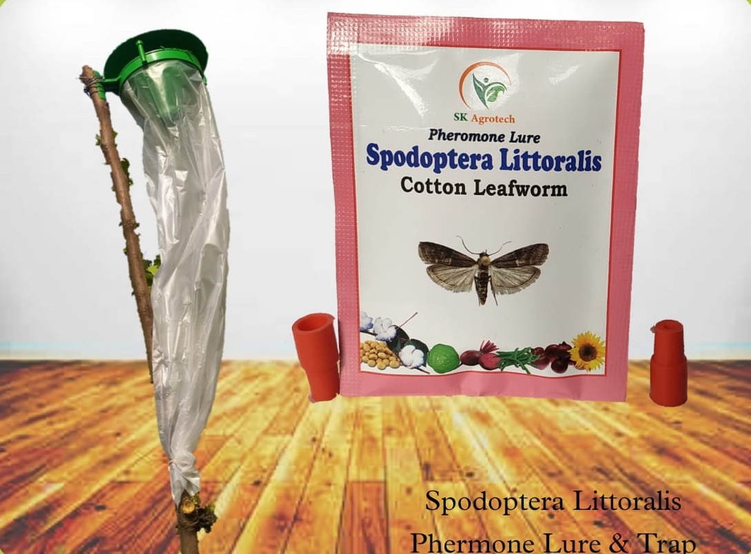 Spodopter Littoralis-pheromone lure & Funnel trap 