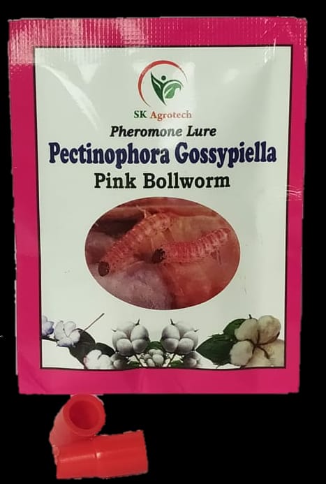 Pink Bollworm lure (Pectinophora gossypiella)