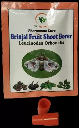  Leucinodes Orbonails Brinjal shoot & fruit borer pheromone lure 
