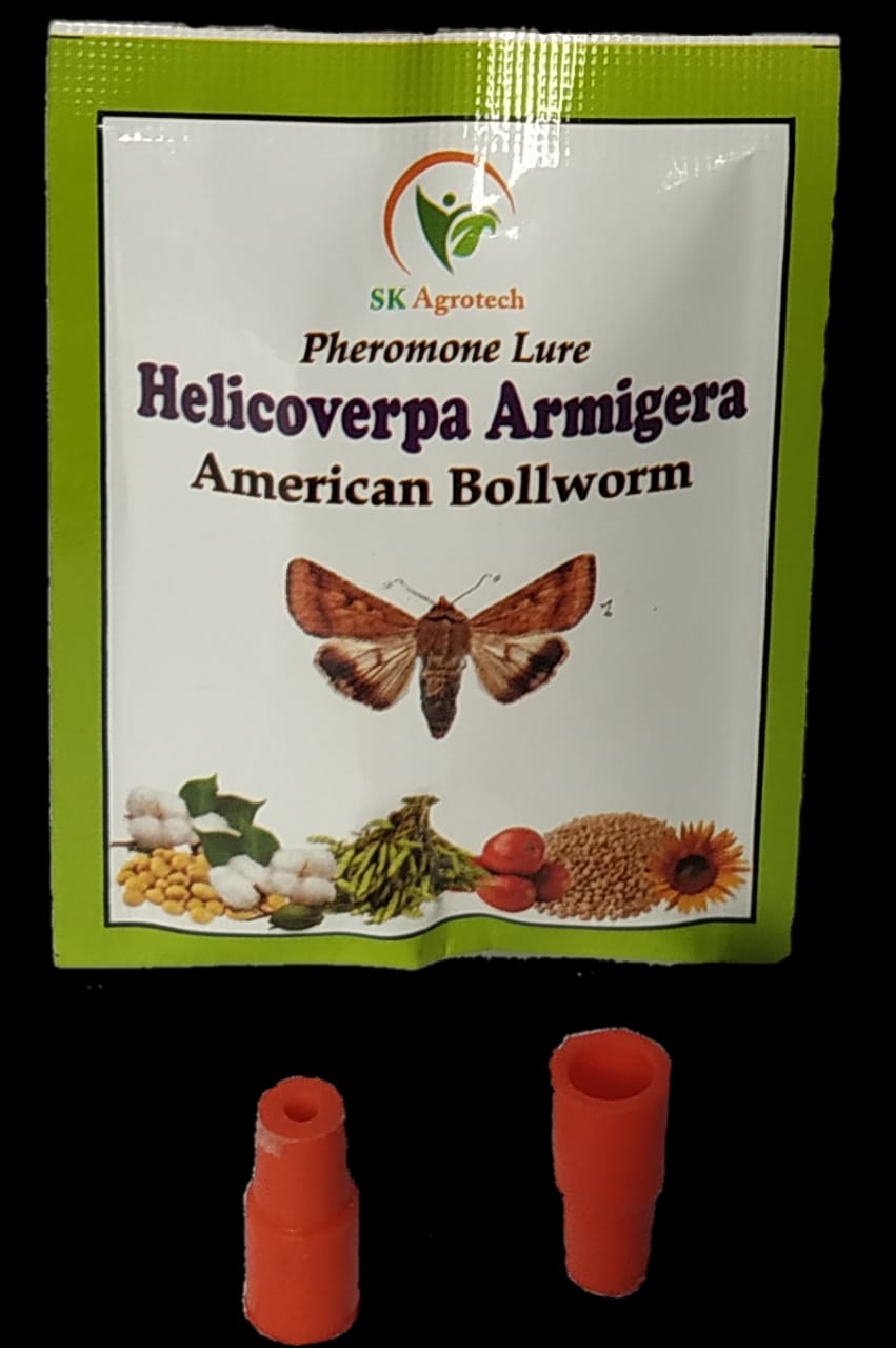 Helicoverpa Armigera Lure 