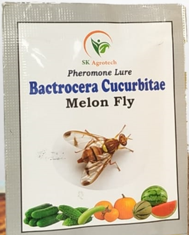 Bactrocera Cucurbitae Melon fly pheromone lure 