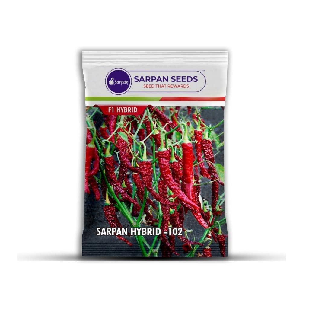 Sarpan 102 Dabbi Byadgi chilli variety