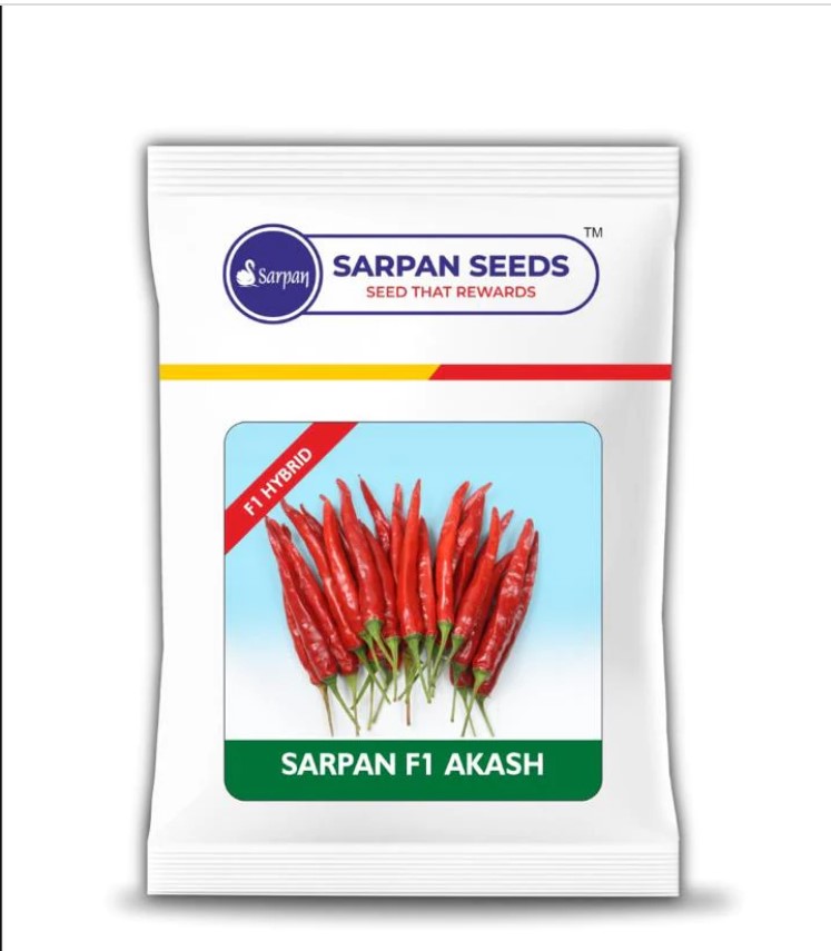 Sarpan Akash Chilli Seed