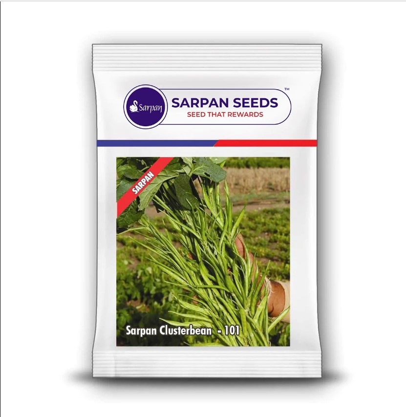 Sarpan Clusterbeans-101