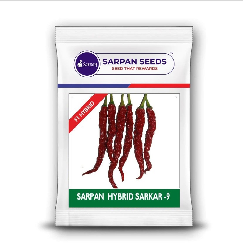 Sarpan Sarkar  chilli Seed