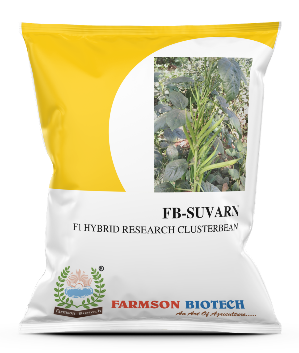 FB-SUVARN RESEARCH CLUSTERBEAN SEEDS
