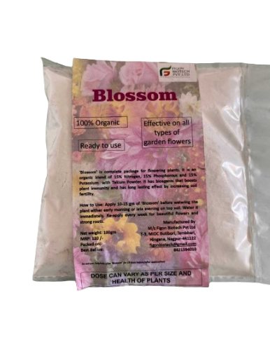 Figon Blossom