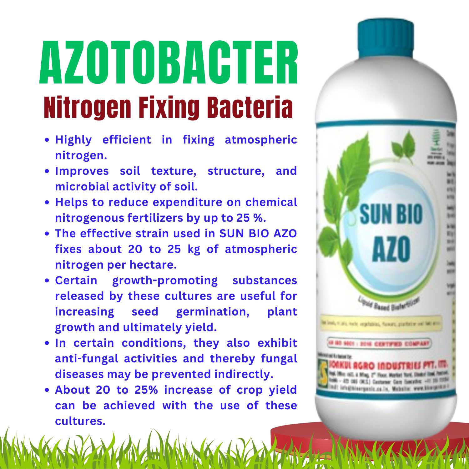 SUN BIO AZO (L) Azotobacter