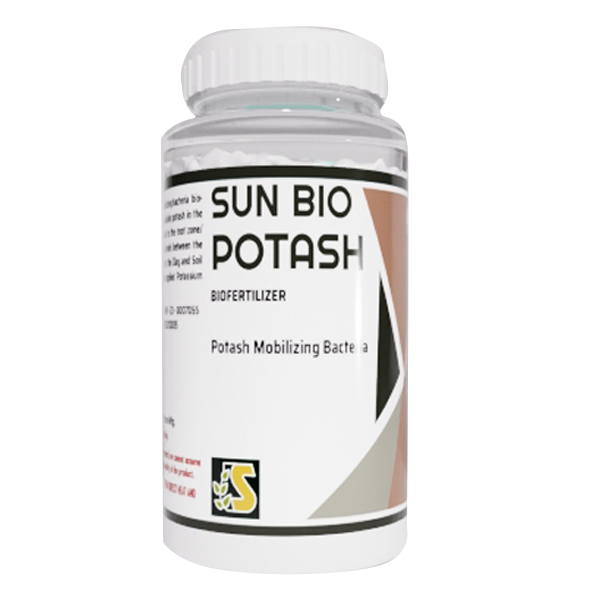 SUN BIO POTASH (P) Potash Mobilizing Bacteria ( Dextros base)