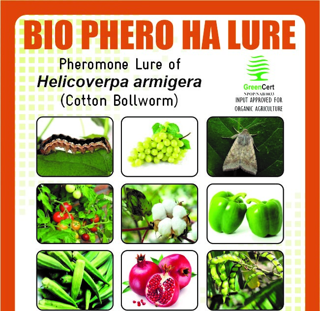 BIO PHERO HA WITH FUNNEL TRAP Helicoverpa armigera(Cotton Bollworm) Pack of 10