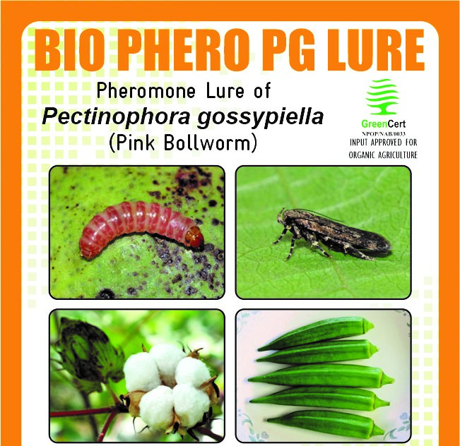 BIO PHERO PG with FUNNEL TRAP Pectinophora gossypiella(Pink Bollworm) Pack of 10