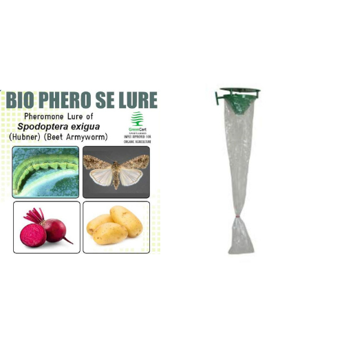 BIO PHERO SE with Funnel Trap Spodoptera exigua (Beet Armyworm) Pack of 10