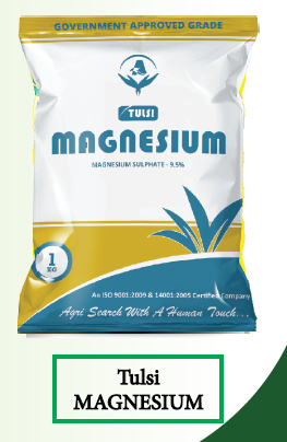 Tulsi Magnesium Sulphate (MGS04)