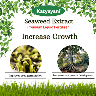 Premium Seaweed Extract liquid