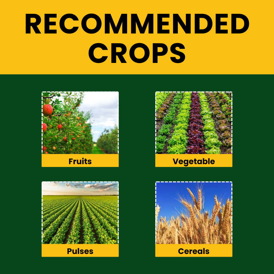  Katyayani PREMIUM Seaweed Extract Liquid for Plants Vegetables Flowers Fruits Promotes Plant Growth, Flowering, Fruiting - Keeps Plant Healthy and Greenish