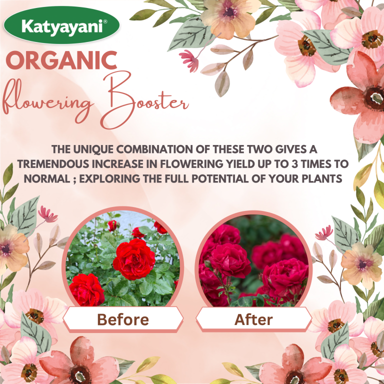 Katyayani Flowering Fertilizer Booster