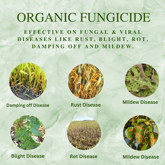 Katyayani All in 1 Organic Fungicide
