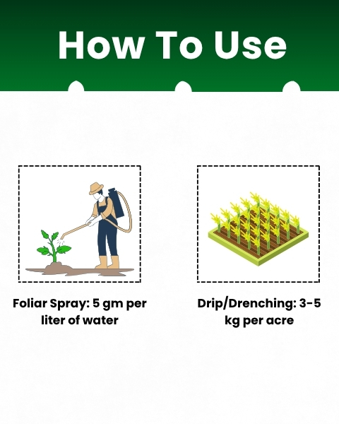 Katyayani NPK 00:52:34- Water Soluble Fertilizer | High Phosphorus and Potassium | NPK Fertilizer | Foliar Spray | Drip Irrigation | Flowering and Fruit Development