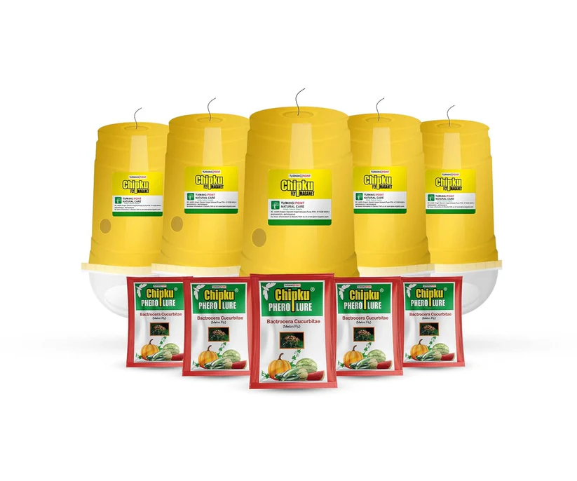 CHIPKU - MELON FLY GLASS TRAP |  Pheromone Trap For Bactrocera Cucurbitae | Insect Trap For Orchards And Climber Crops With Pheromone Lure Combo