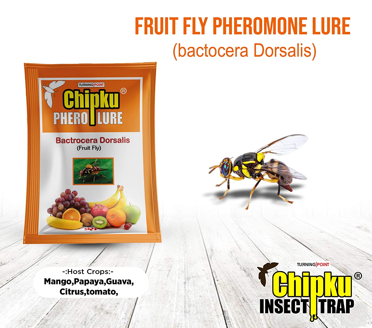 Chipku- Bactocera Dorsalis fruit fly outdoor ECOMAX Pheromne trap with lure pack of 10