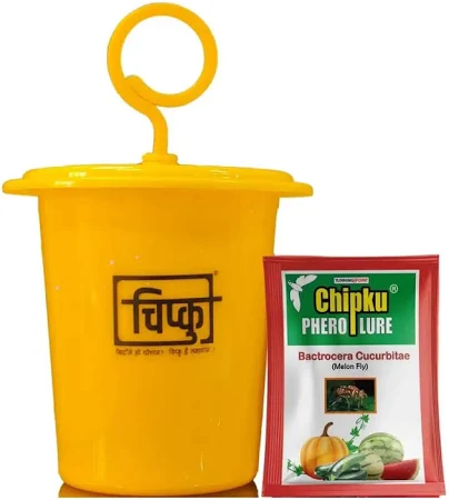 CHIPKU - MELON FLY BACTROCERA CUCURBITAE ECOMAX PHEROMONE TRAP | Used For Cucurbits Crops