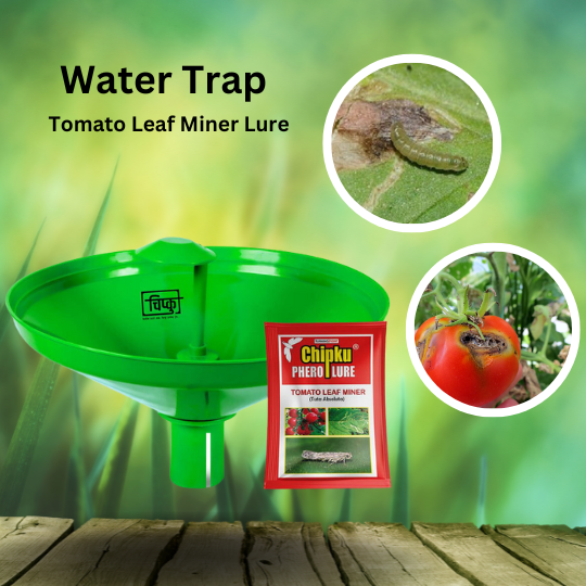 Chipku- Pheromone water Trap with Tuta Absoluta Lure for Tomato leaf miner (TLM) (Tuta absoluta) pack of 10