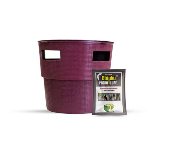 Chipku - Bucket trap with Rhinoceros Beetle Pheromone lure Pack of 10