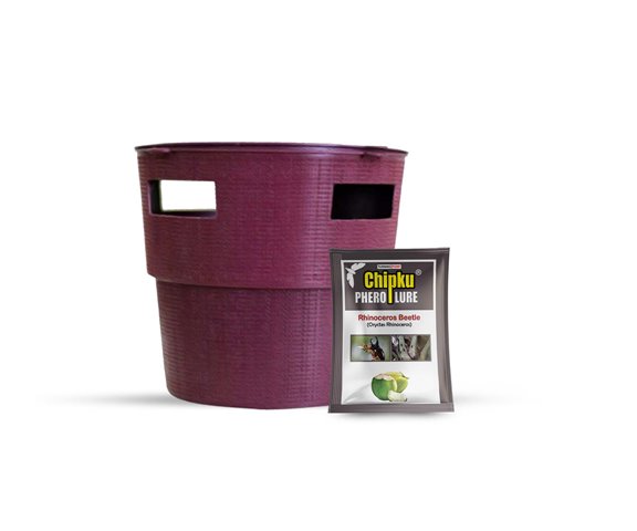 CHIPKU - BUCKET TRAP WITH RHINOCEROS BEETLE LURE | Useful In Coconut And Nut Crops