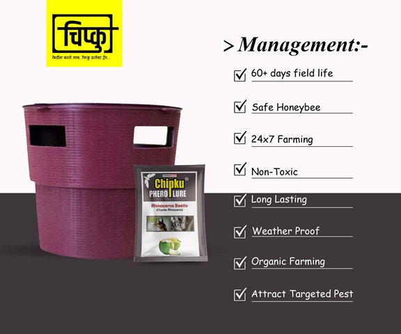 CHIPKU - BUCKET TRAP WITH RHINOCEROS BEETLE LURE | Useful In Coconut And Nut Crops