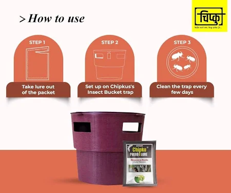 CHIPKU - BUCKET TRAP WITH RHINOCEROS BEETLE LURE | Useful In Coconut And Nut Crops