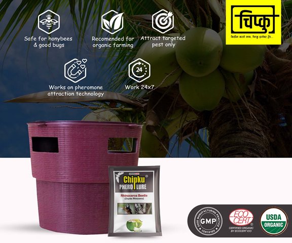CHIPKU - BUCKET TRAP WITH RHINOCEROS BEETLE LURE | Useful In Coconut And Nut Crops