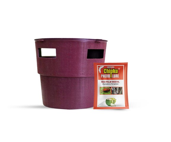 Chipku - Bucket trap with Red Palm Weevil  Pheromone lure Pack of 10