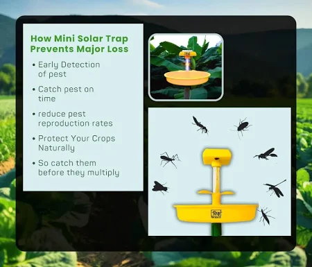 CHIPKU | MINI SOLAR INSECT TRAP | Auto Solar Charging On Off Sensor With Yellow And Blue UV LED lights ( Garden & Farming Trap) And Alternate Pheromone Lure Holder