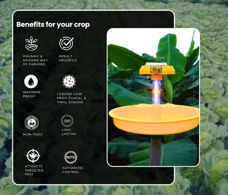 CHIPKU | MINI SOLAR INSECT TRAP | Auto Solar Charging On Off Sensor With Yellow And Blue UV LED lights ( Garden & Farming Trap) And Alternate Pheromone Lure Holder