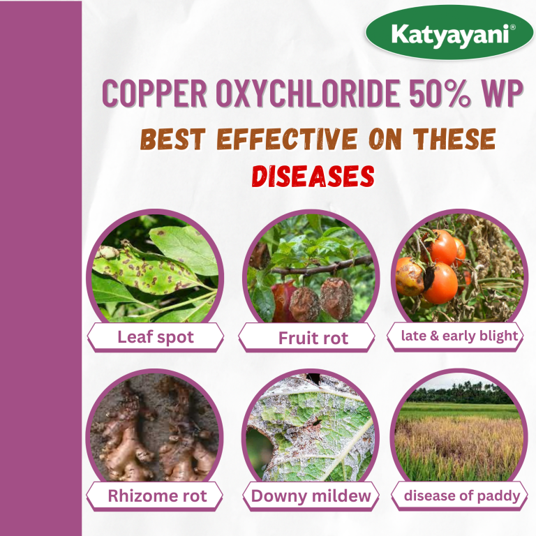 Katyayani  Copper oxychloride 50 % wp-COC50