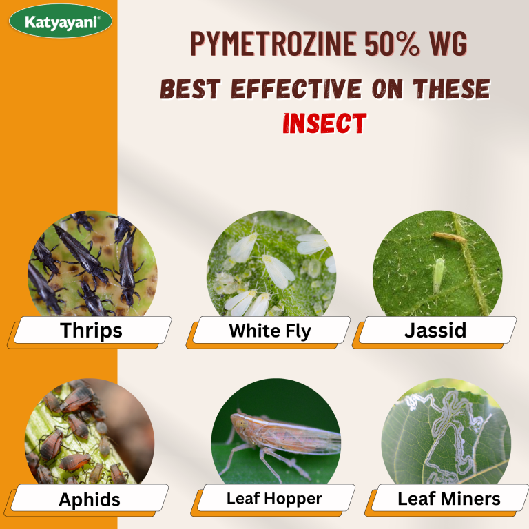 Pymetrozine 50 % wg - BPH Super