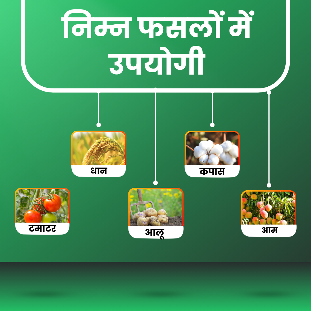 Thiamethoxam 25 % WG | Katyayani THIOXAM | Controls various sucking insect pests in many crops 
