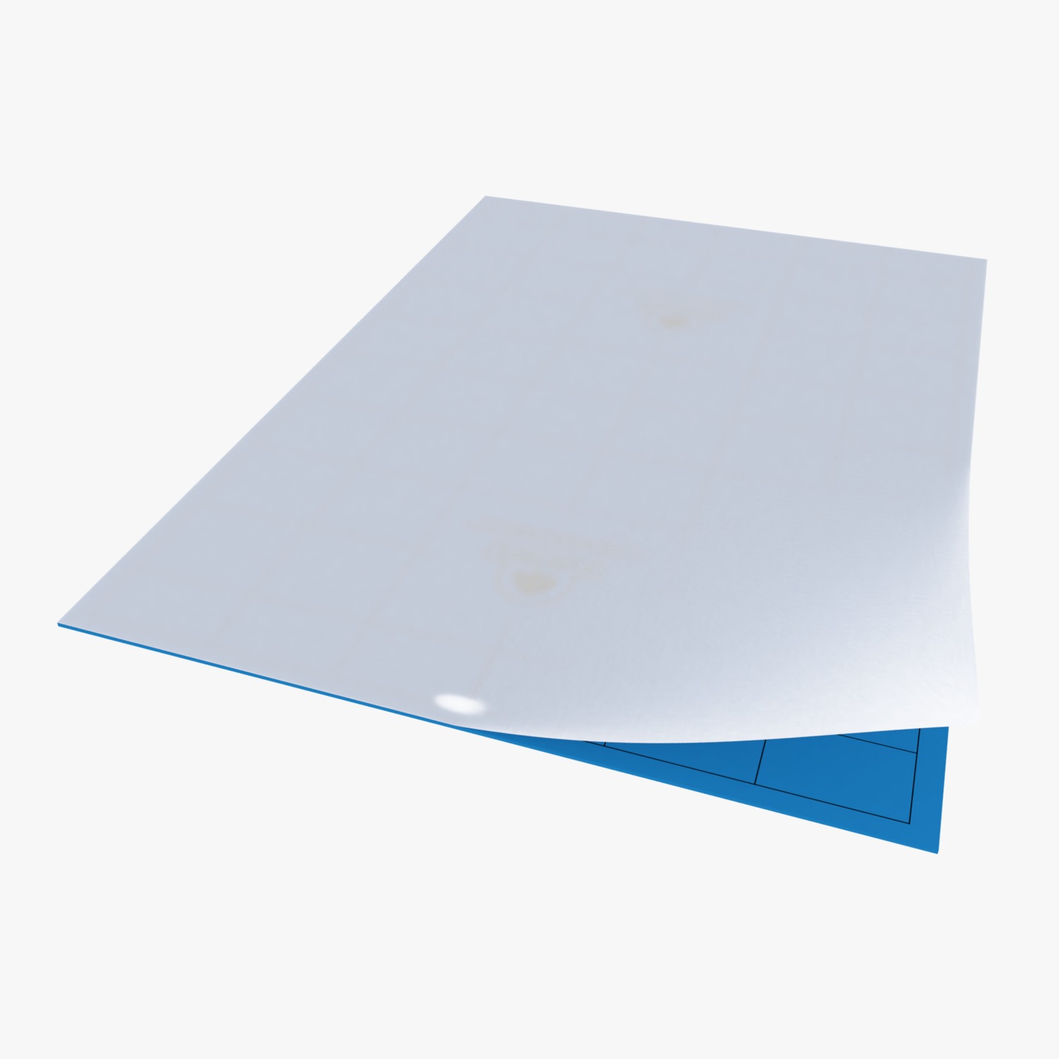 BLUE STICKY TRAP(25cm X 12.5cm)
