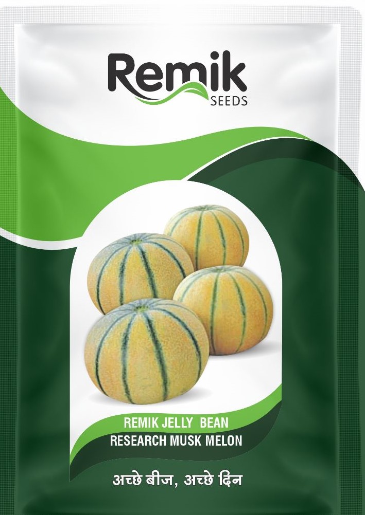 Remik Jelly Bean Musk Melon