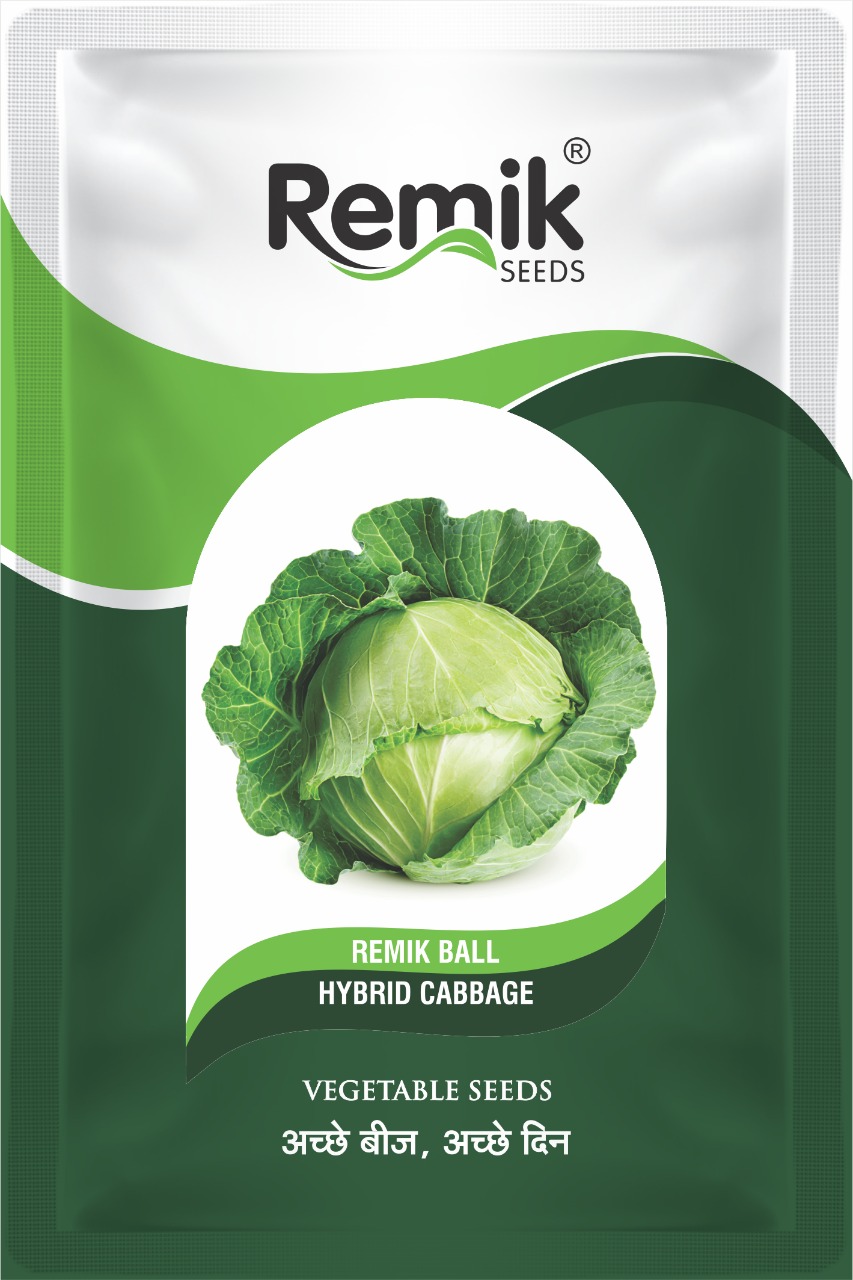 Remik Ball Cabbage