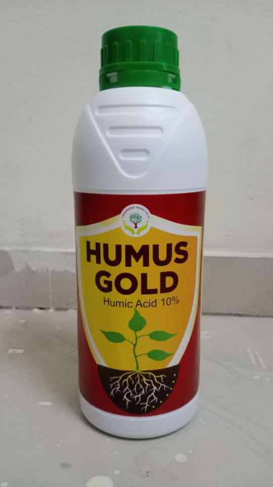 Humus Gold