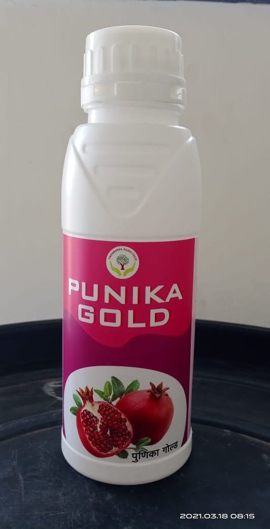 Punika Gold