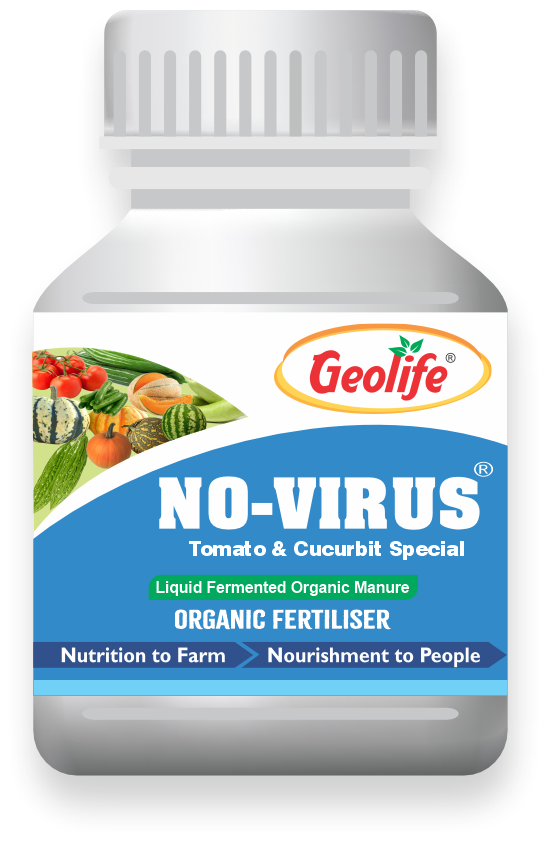 GEOLIFE | NO VIRUS Tomato & Cucurbit  | Liquid Fermented Organic Manure | Vriksha Ayurveda Inspired | Organic Fertilizer | Improves Immunity & Yield | 100% Natural & Residue-Free 